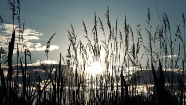 Atardecer lapso de tiempo — Vídeos de Stock