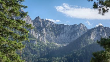 Bavyera Alpleri peyzaj