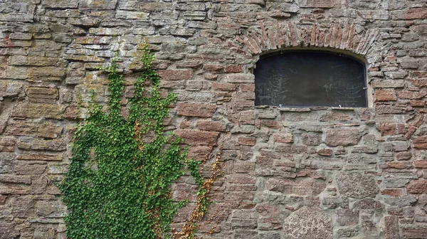 Borgholm kale duvarı