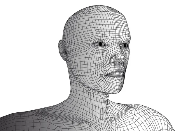 Cabeza humana 3d vector wireframe aislado . — Vector de stock