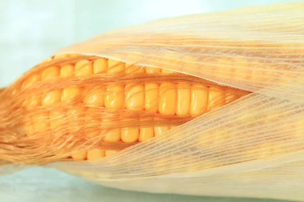 Fresh corn cobs — Stock Photo, Image