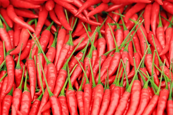 Hot chili peppers — Stock Photo, Image