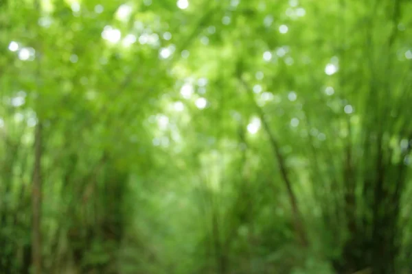 Samenvatting van de natuur — Stockfoto