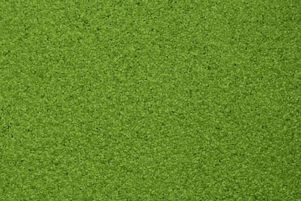 พื้นหลังของเป็ดสีเขียว — ภาพถ่ายสต็อก