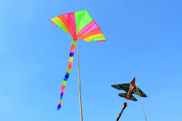 Bellissimi aquiloni in un festival di aquiloni — Foto Stock