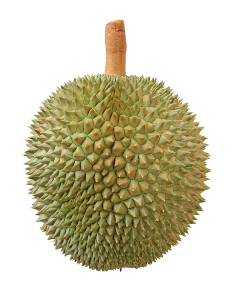 Närbild av Durian frukt — Stockfoto