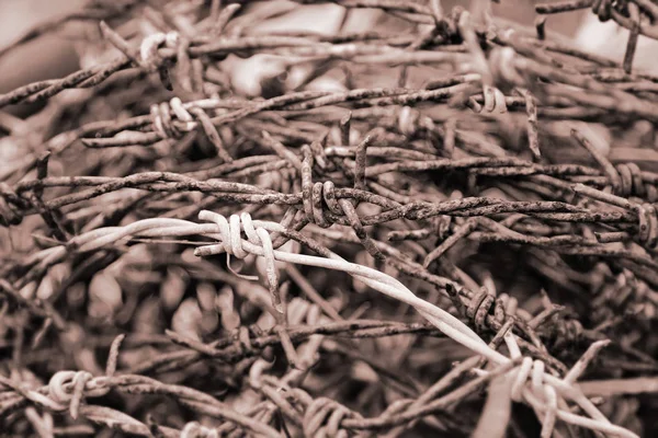 Viejo el alambre de púas — Foto de Stock