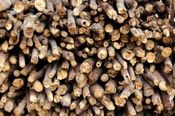 Firewood logs in Asia — Stock Photo, Image