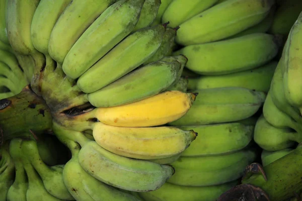 Close up van verse bananen — Stockfoto