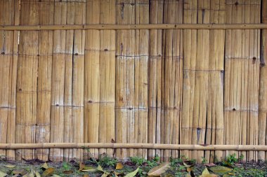 Bambu duvar Tayland