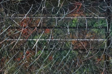 Doğada hidding için net kamuflaj