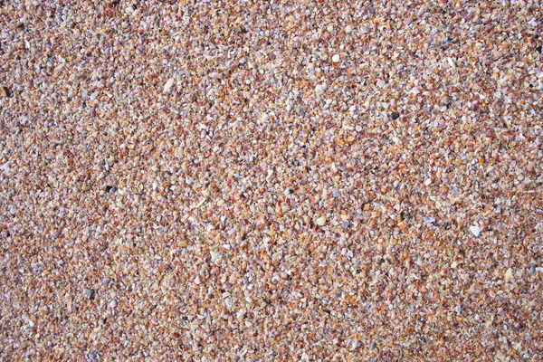 泰国奥南海滩上的贝壳 — 图库照片