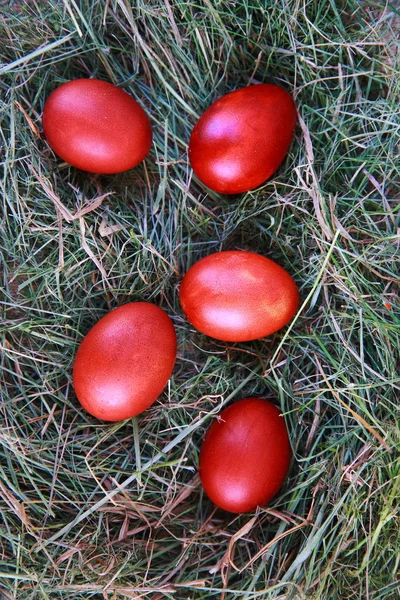 Easter red eggs