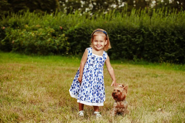 Маленька Дівчинка Сукні Йоркширським Тер Єром — стокове фото