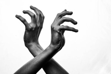 Beyaz arka planda bir adamın elleri