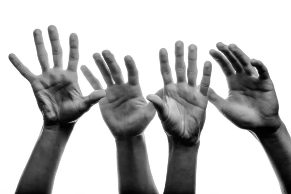 Hands Man White Background — Stock Photo, Image