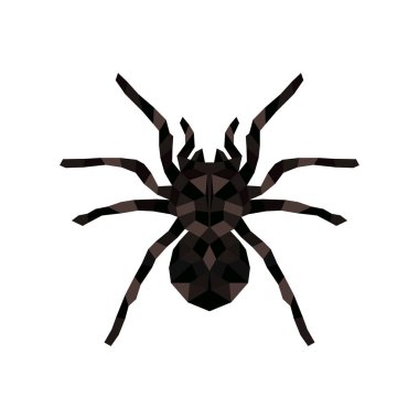 Cadılar Bayramı örümcek ağını örten örümceği süslemek için izole edilmiş bir örümcektir. Eklembacaklı doğa ürkütücü tehlike siluet hatası.