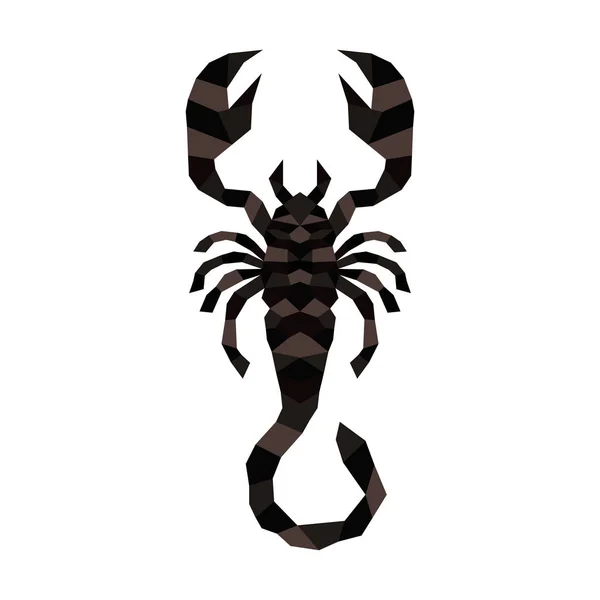 Scorpion creepy astrology sign vector illustration. Danger animal poisonous scorpio arachnid. — 스톡 벡터