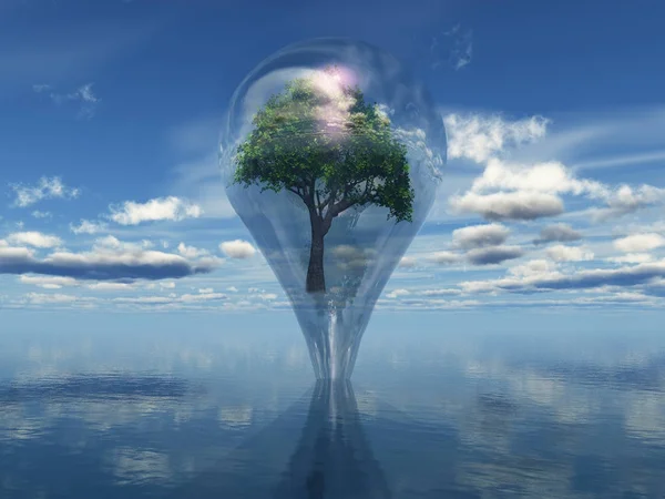 Дерево внутри пузыря — стоковое фото