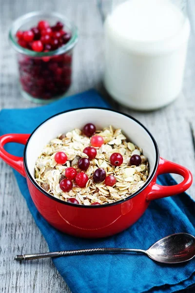 Granola with cranberries and milk — Stock Photo, Image
