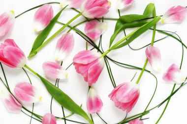 Çiçek desenli Pembe Laleler, yeşil yapılmış beyaz zemin üzerine bırakır. Düz yatıyordu, en iyi görünüm. Çiçek deseni. Çiçek desen doku