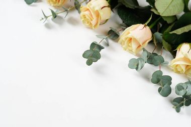 krem gül ve okaliptüs dalları