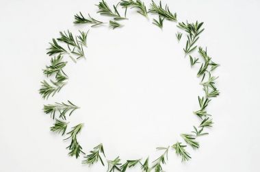 Yeşil biberiye yaprağı