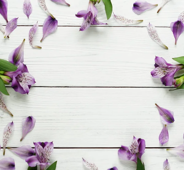 Virágos keret lila virágokkal — Stock Fotó
