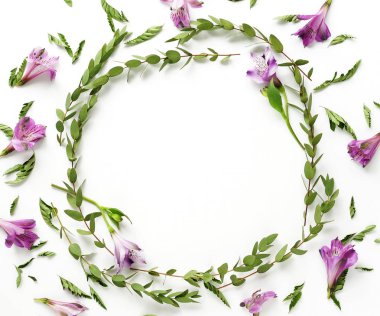 Çerçeve okaliptüs şube ve çiçek deseni. kopya alanı. Üstten Görünüm