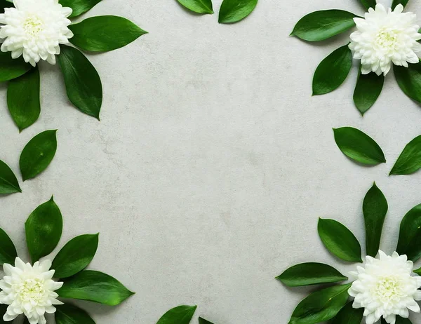 Marco de hojas verdes con flores de crisantemo blanco sobre fondo de piedra gris.Resumen. Copiar espacio — Foto de Stock