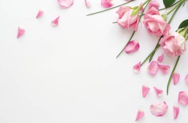 soluk pembe gül ler ve yaprakları