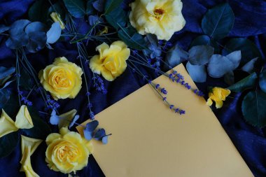 yellow roses and blank  card