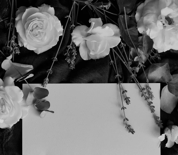 Rosas y tarjeta en blanco — Foto de Stock