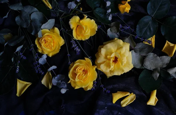 Rosas amarillas en una oscuridad — Foto de Stock
