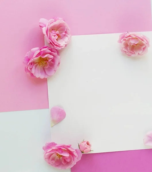 Rosas rosa com cartão em branco — Fotografia de Stock