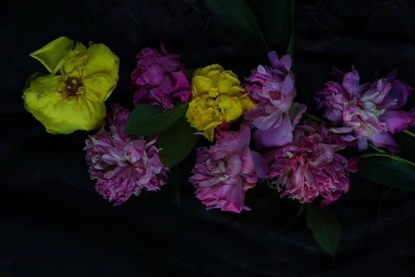 Pivoines roses fanées — Photo