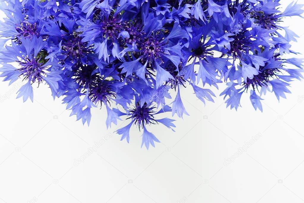 Bouquet blue flowers cornflowers on white background. top view. copy space