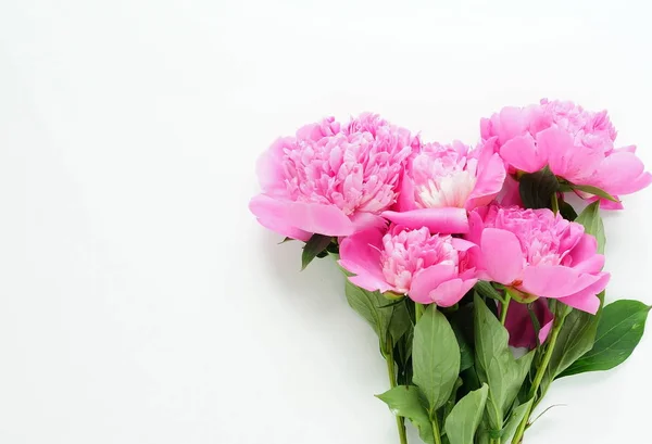 Bouquet di peonie rosa — Foto Stock