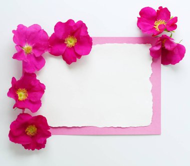 boş kartı ile pembe güller