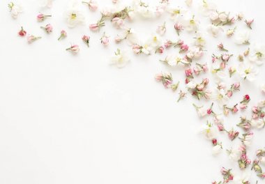 elma ağacının çiçekleri 