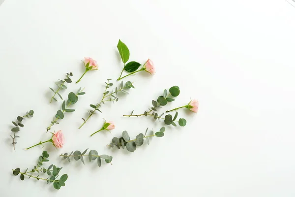 Эвкалиптовые ветви и розовые розы — стоковое фото