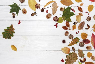 Çerçeve sonbahar yaprakları Beyaz ahşap zemin üzerinde bileşimi. Üstten Görünüm. Uzay kopyalayın. Düz yatıyordu