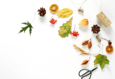 Sonbahar kompozisyon. Sonbaharın akçaağaç ağaç beyaz arka plan üzerinde yaprak çerçeve yaptı. Üstten Görünüm. Uzay kopyalayın. Düz yatıyordu