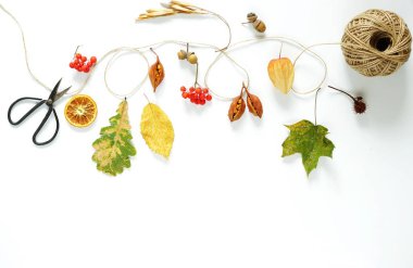 Sonbahar kompozisyon. Sonbaharın akçaağaç ağaç beyaz arka plan üzerinde yaprak çerçeve yaptı. Üstten Görünüm. Uzay kopyalayın. Düz yatıyordu