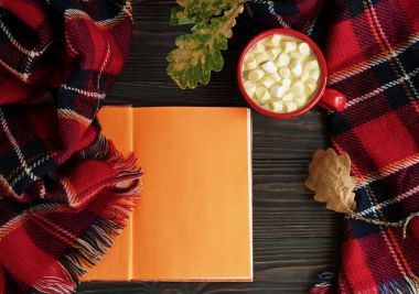 Kakao ve şekerleme, sıcak ekose, kitap ve sonbahar yaprakları kahverengi ahşap antika arka plan üzerinde kırmızı Kupası. Sonbahar concepte. Üstten Görünüm. Kopya alanı,