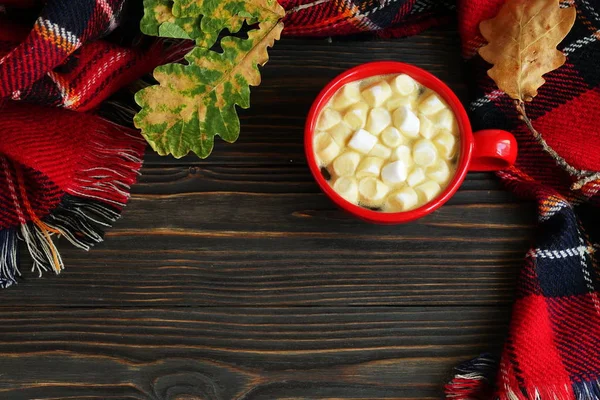 Kakao ve şekerleme, sıcak ekose ve sonbahar yaprakları kahverengi ahşap antika arka plan üzerinde kırmızı Kupası. Sonbahar concepte. Üstten Görünüm. Kopya alanı,