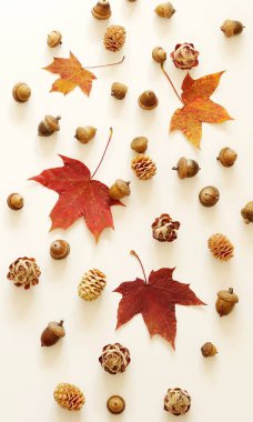 Sonbahar yaprakları ve meşe palamutları sonbahar kompozisyon