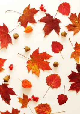 Sonbahar yaprakları ve meşe palamutları sonbahar kompozisyon