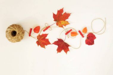 Sonbahar yaprakları kompozisyon 