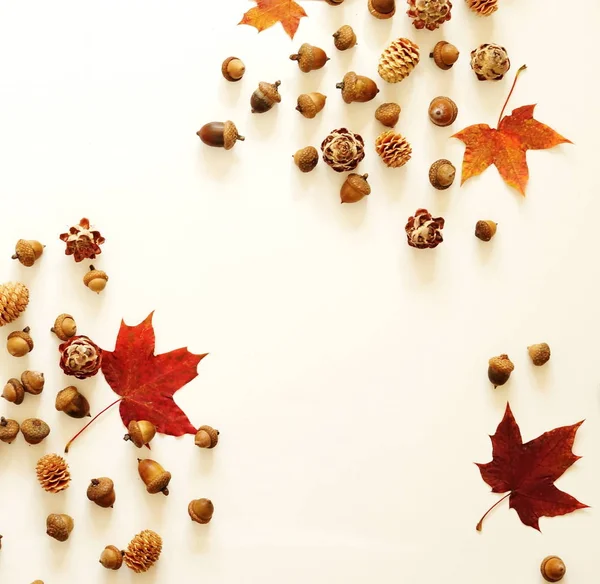 Sonbahar yaprakları ve meşe palamutları sonbahar kompozisyon